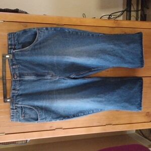 138 THE HABAND TAILGATER PLUS SIZE CROPPED JEANS